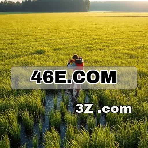 46e.com: A Melhor Experiência na Seção Arcade Para Você